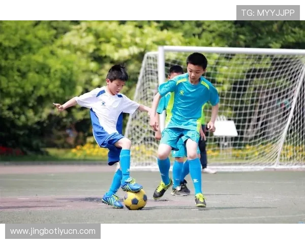 快鱼体育助力青少年健康成长的全面体育培训解决方案推荐